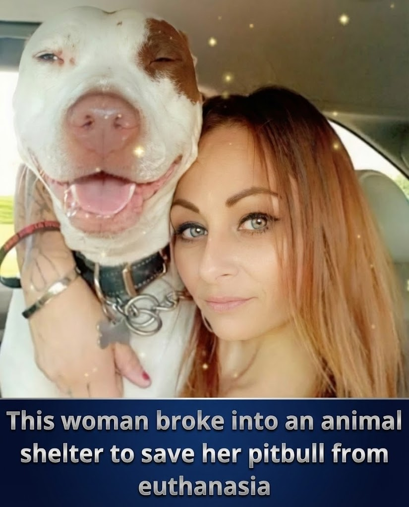 She Broke Into an Animal Shelter to Save Her Dog — And Sparked a National Debate
