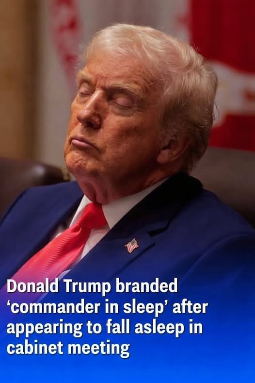 Donald Trump Dubbed ‘Commander in Sleep’ After Seeming to Doze Off During Cabinet Meeting